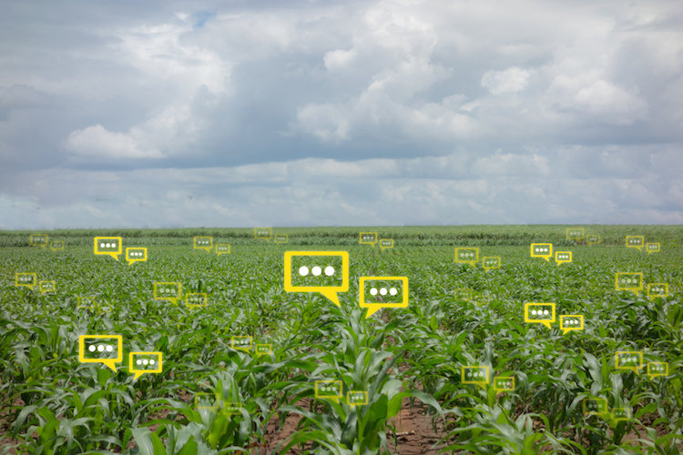 Dati e agricoltura, yes we can