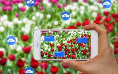 Hi-tech e agricoltura 4.0