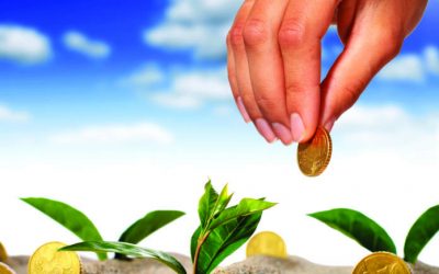 Europa: Politica agricola comune (PAC) 2021. I tagli per regione