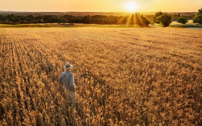 Il mondo è cambiato e se non cambi con il mondo, il mondo cambia senza di te