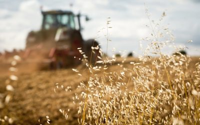 Continuano i furti in agricoltura